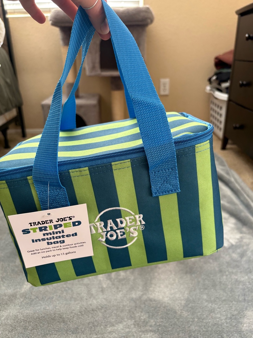 Trader Joe's Blue/Green Striped Mini Insulated Bag